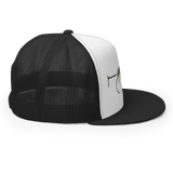 College View Co. Ak Trucker Snap