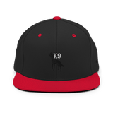 College View Co. Black/ Red K9 Snapback