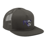 College View Co. Draco Snapback