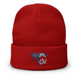 College View Co. Red Draco Beanie